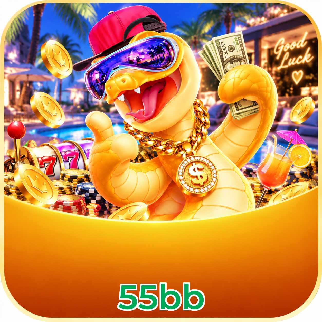 55bb Registration Guide